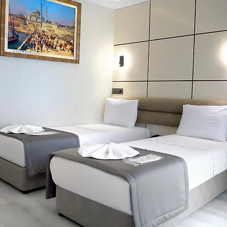 The Amara